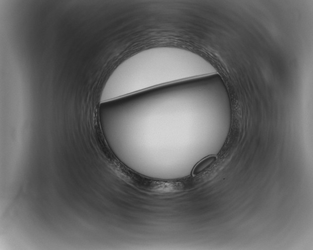 X0000116580083200912101319
