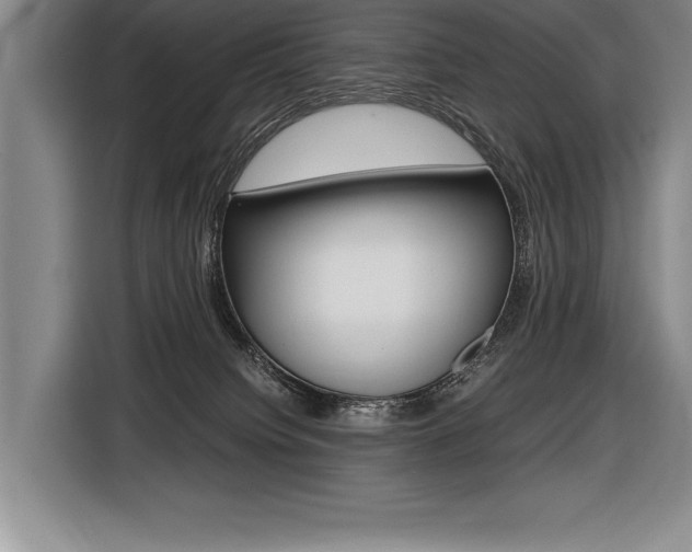 X0000116580084200912101319
