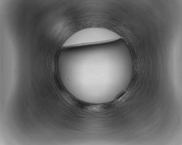 X0000116580086200912101319