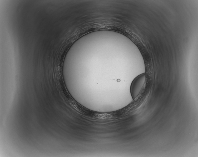 X0000116580087200912101319