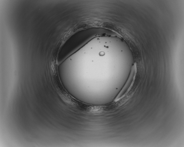 X0000116580088200912101319