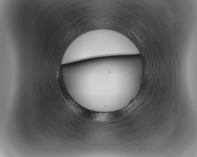 X0000116580090200912101319