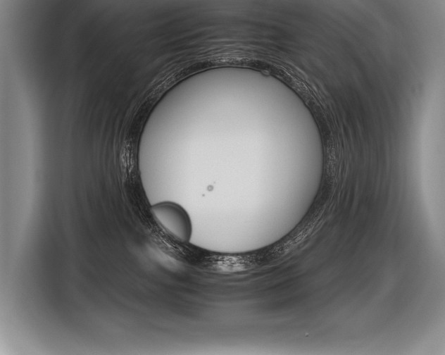 X0000116580091200912101319