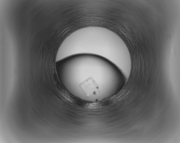 X0000116580092200912101319