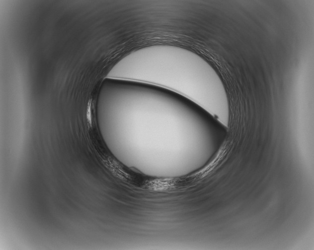 X0000116580094200912101319