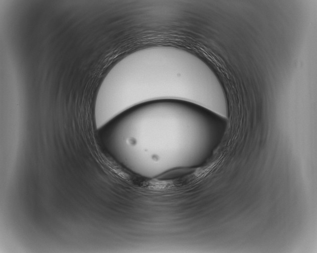 X0000116580096200912101319