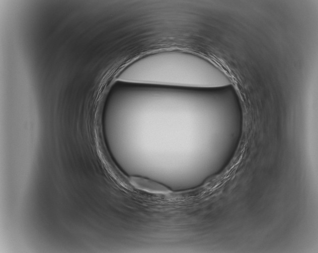 X0000116580097200912101319