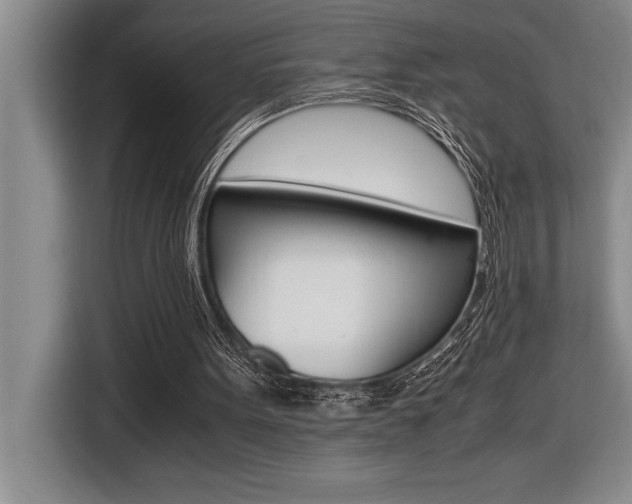 X0000116580099200912101319