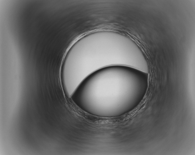 X0000116580100200912101319