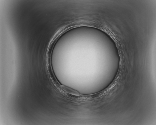 X0000116580101200912101319