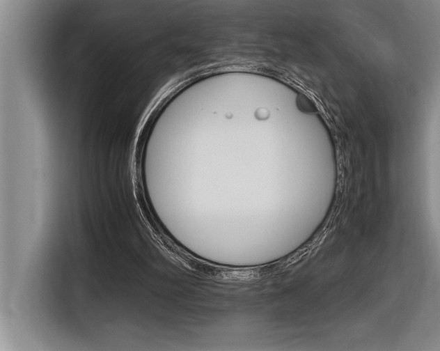 X0000116580102200912101319