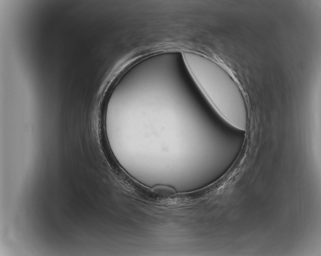 X0000116580103200912101319
