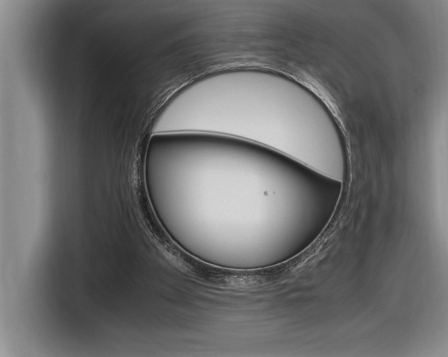 X0000116580105200912101318