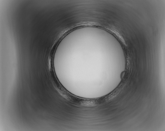 X0000116580110200912101318