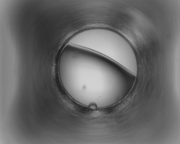 X0000116580111200912101318