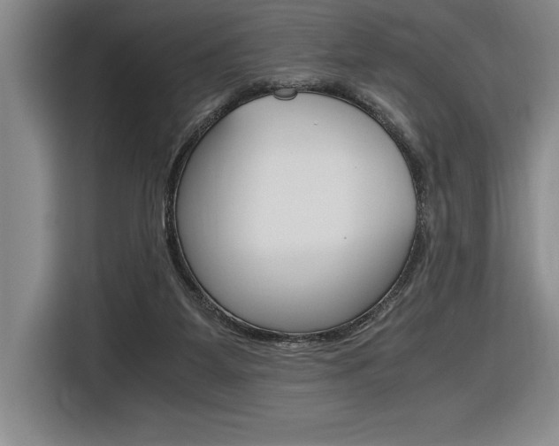 X0000116580115200912101318