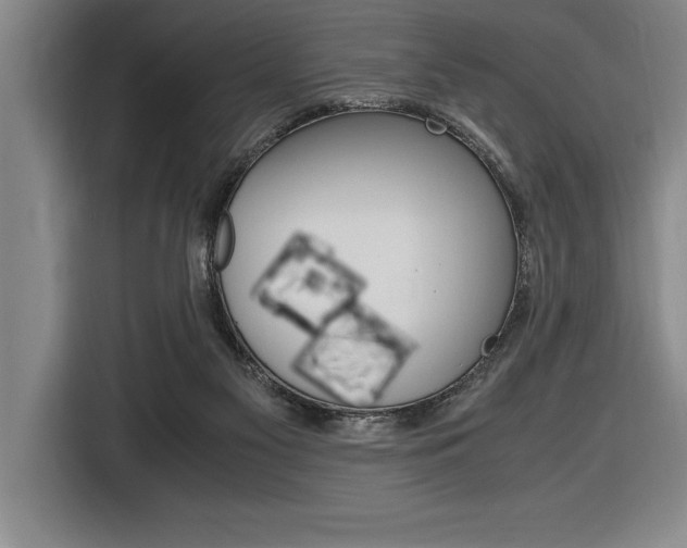 X0000116580117200912101318