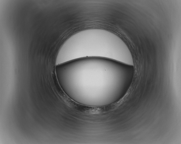 X0000116580124200912101318