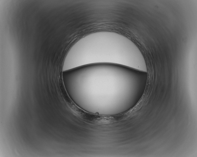 X0000116580128200912101318