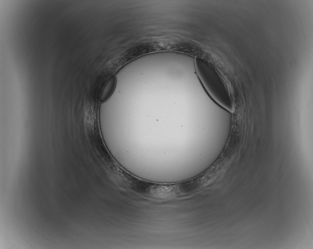X0000116580129200912101318