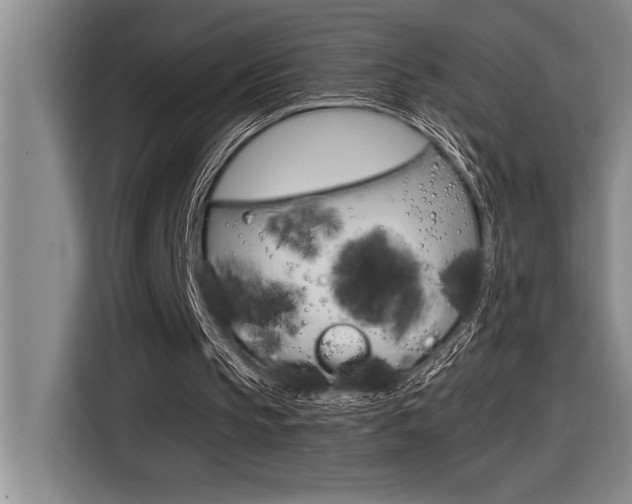 X0000116580145200912101317