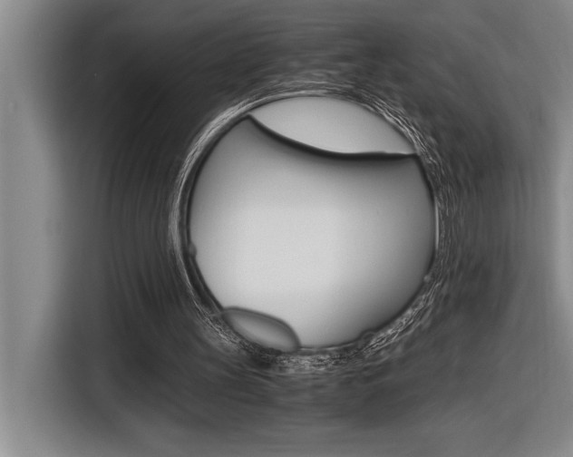 X0000116580147200912101317
