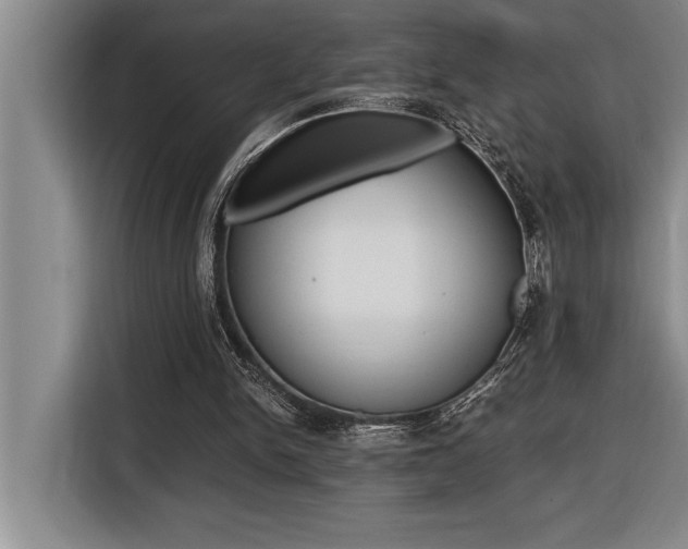 X0000116580150200912101317