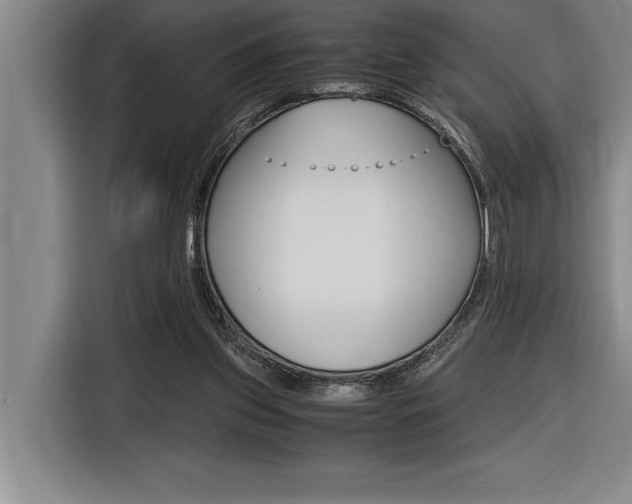 X0000116580157200912101317