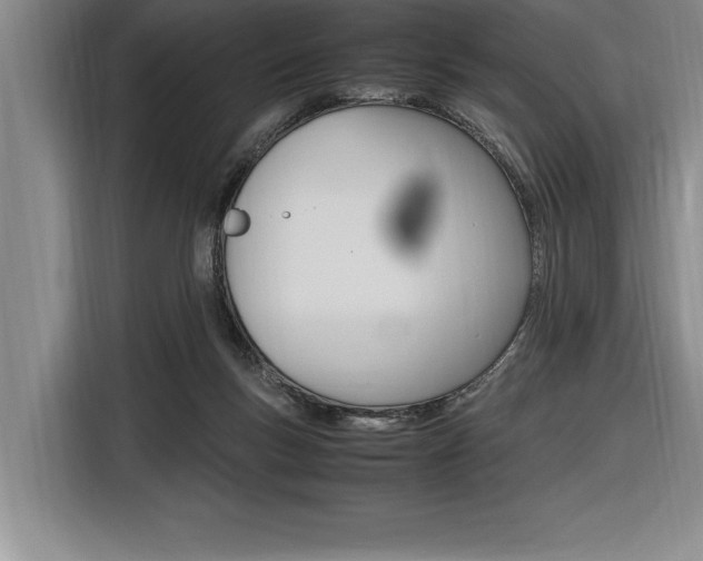 X0000116580167200912101318