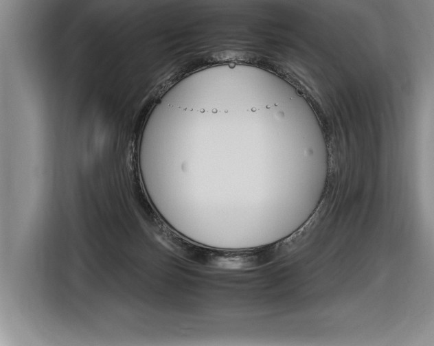 X0000116580171200912101318