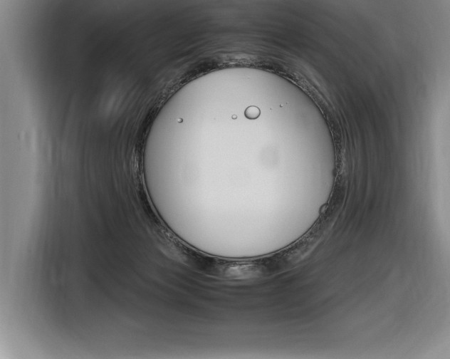 X0000116580173200912101318