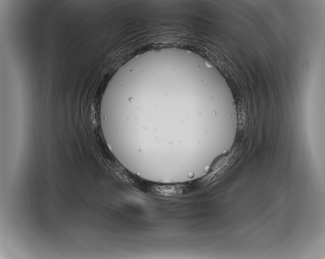 X0000116580187200912101318