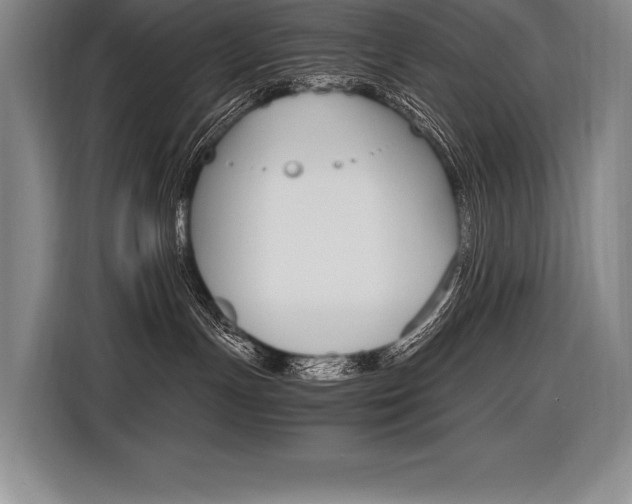 X0000116580191200912101318