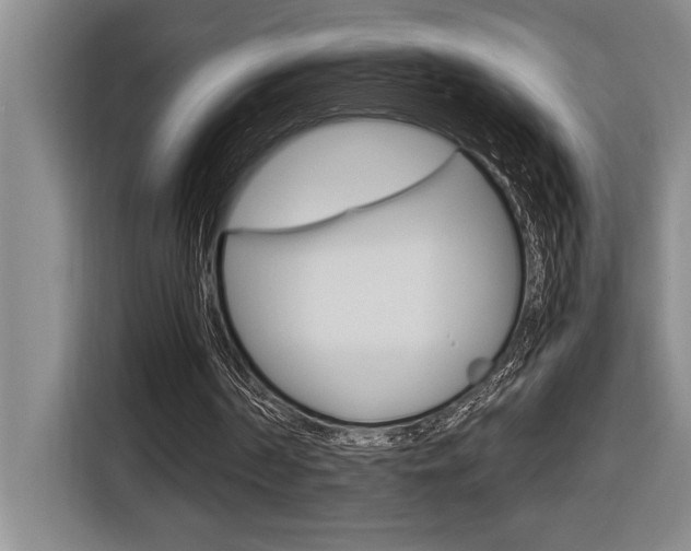 X0000116580194200912101317