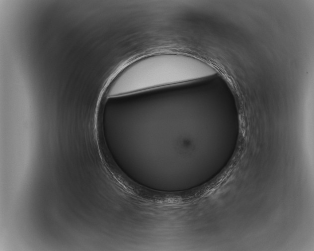 X0000116580196200912101317
