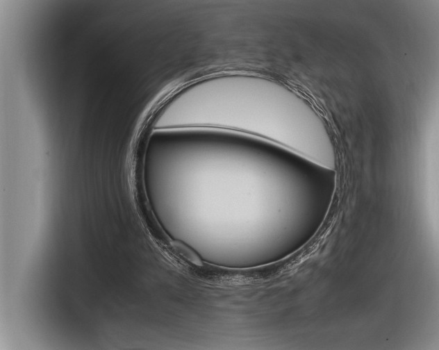 X0000116580197200912101317