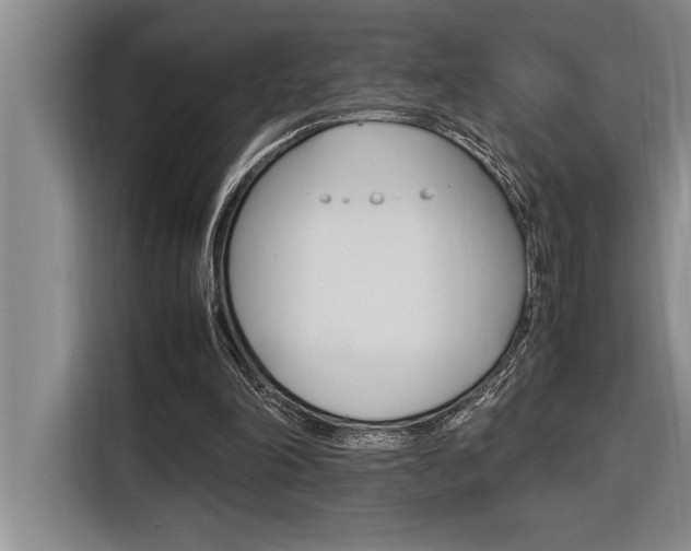 X0000116580198200912101317