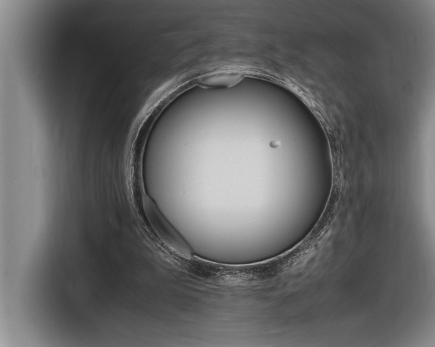 X0000116580199200912101317