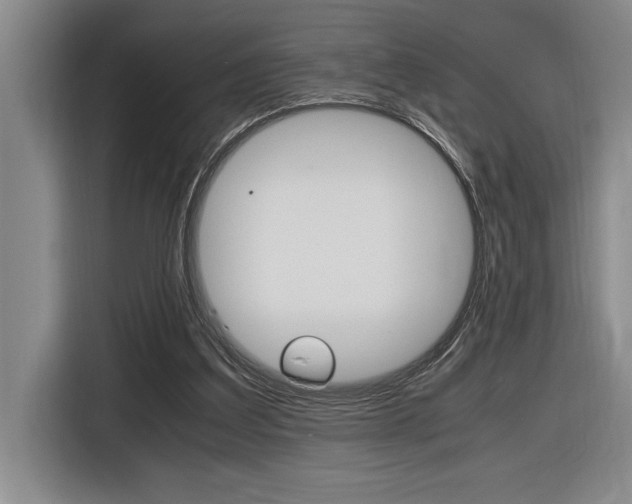 X0000116580203200912101317