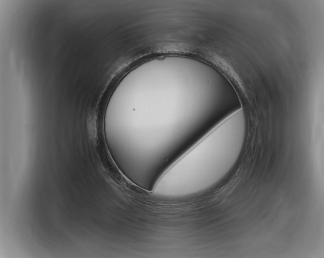 X0000116580204200912101317