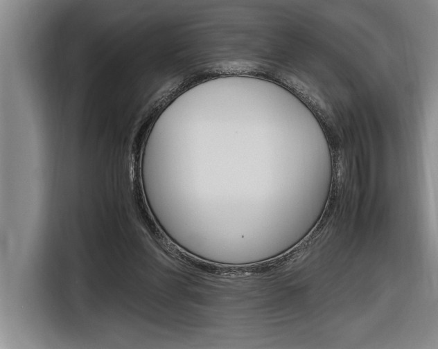 X0000116580206200912101317