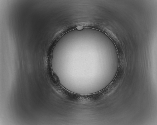 X0000116580207200912101317