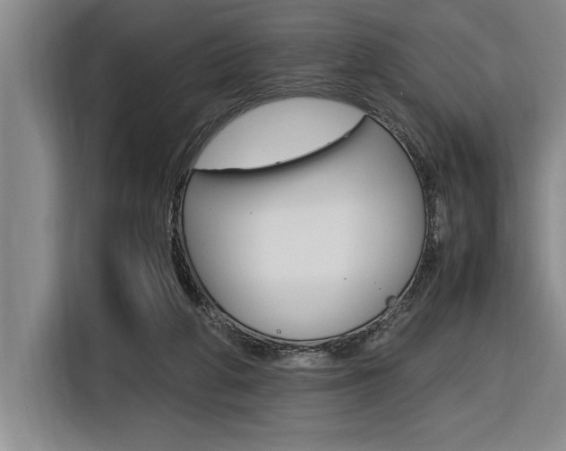 X0000116580210200912101317