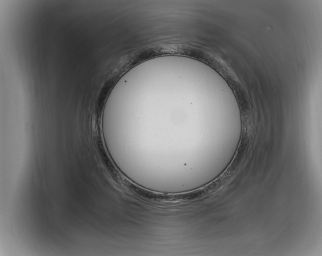 X0000116580213200912101317