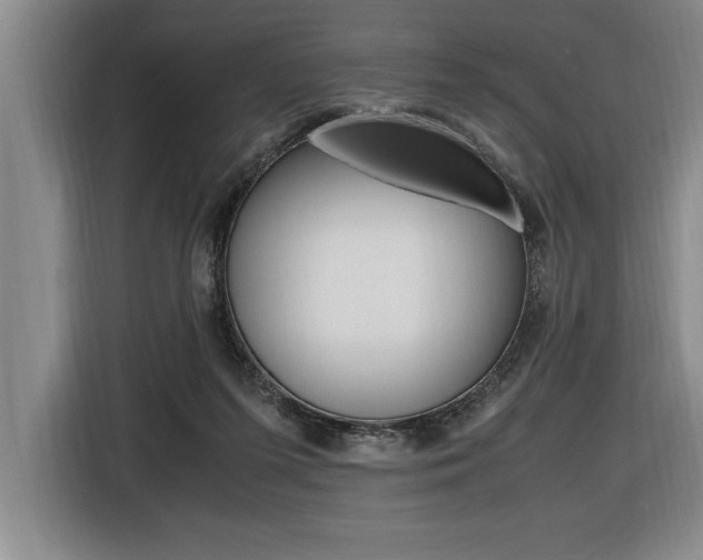 X0000116580215200912101317