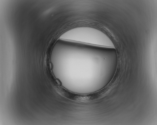 X0000116580217200912101317
