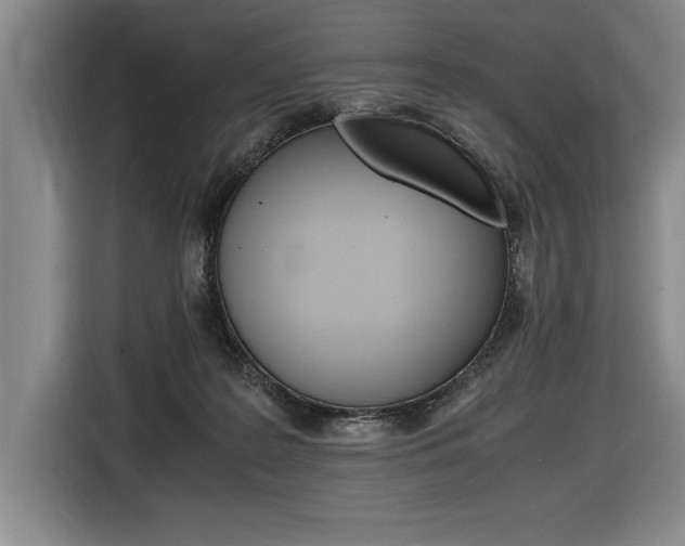 X0000116580219200912101317