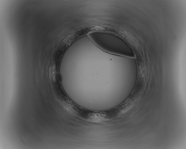 X0000116580223200912101317