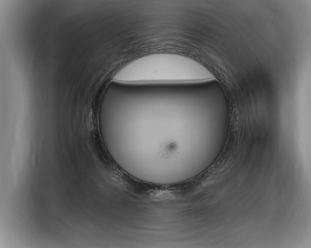 X0000116580224200912101317
