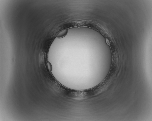 X0000116580225200912101317